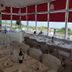 Salle de banquet