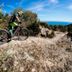 Autre