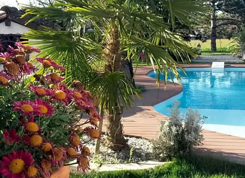 Piscine Photo