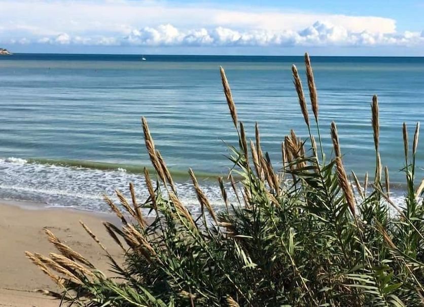 Plage Photo