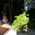 Prestation hôtelière